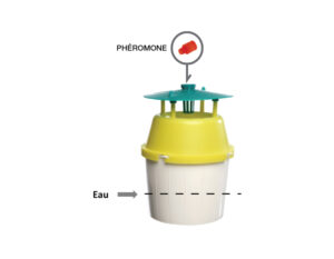 LEPI FUNNEL Spécial Mites alimentaires